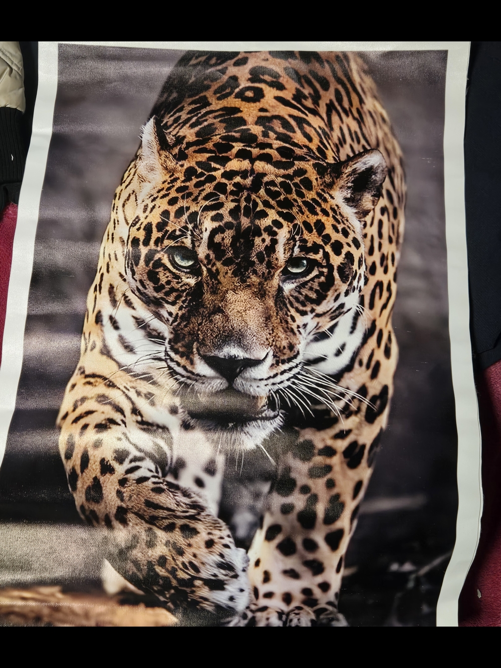 Leopard Print Wall Art Poster - Bold Amber and Black